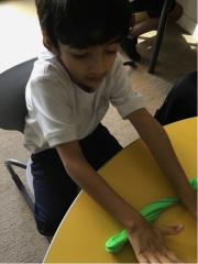 Picture-1