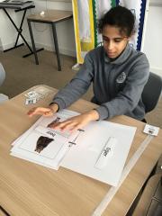 Science-E3-Danah-I-can-label-mammals