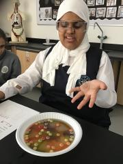 Science-E3-experiment